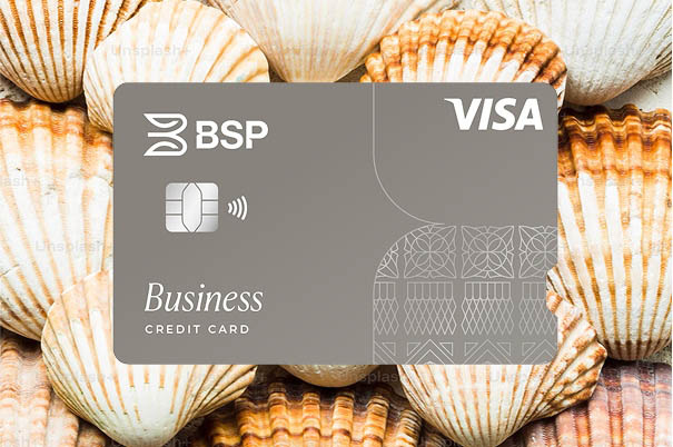 Business Visa Credit Card