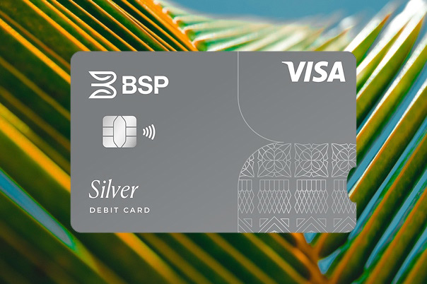 Silver Visa Debit Card