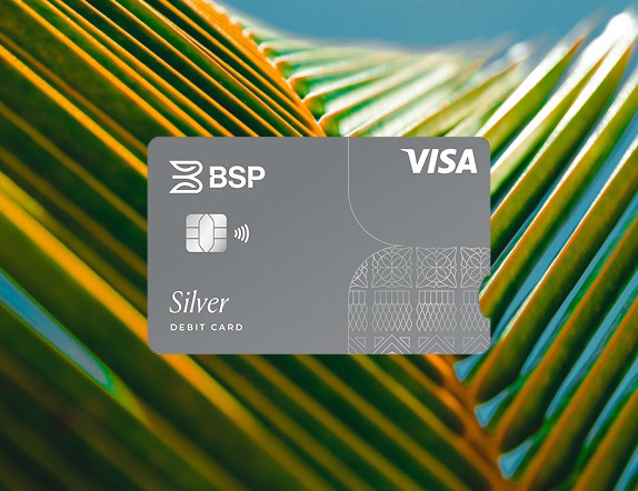 Silver Visa Debit Card
