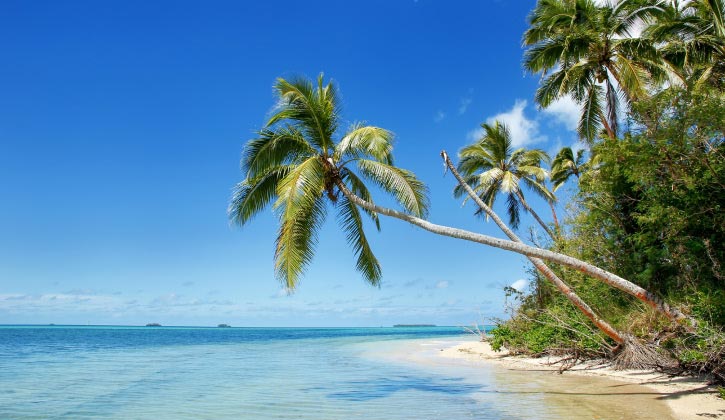 Travel and International Money Transfers